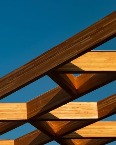 roof framing up close without sheathing